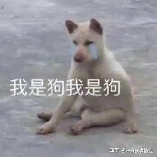 沙雕表情包图片你到底做不做我男朋友
