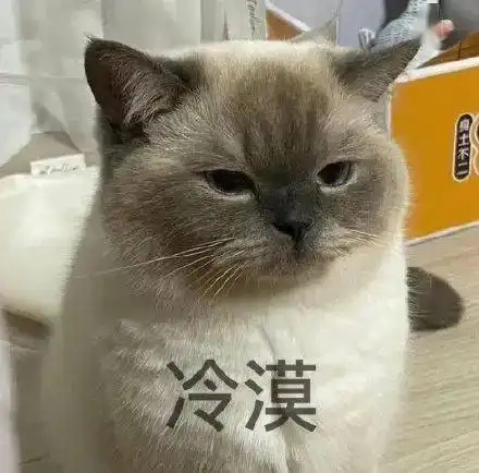 每日沙雕表情包
