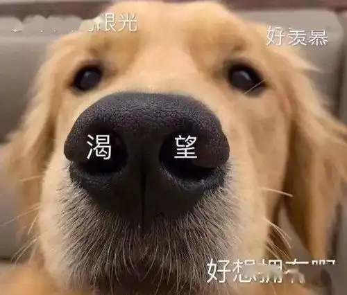 网友们冒死偷拍的素人帅哥究竟有多帅
