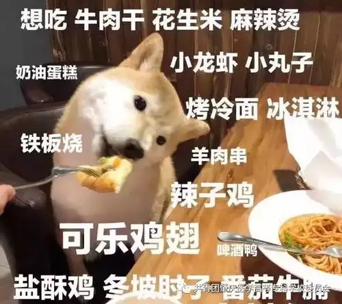 你真的懂跑步吗
