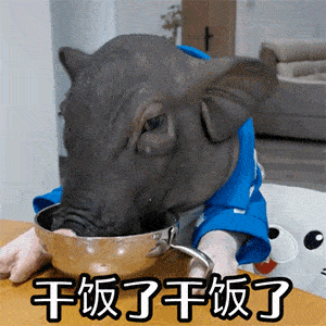 沙雕表情包第一期干饭啦
