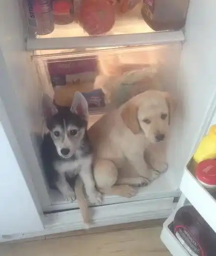 有一种丧心病狂叫做宁阳的天气
