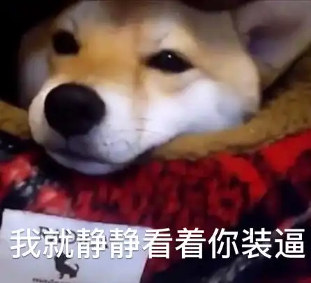 自制各种可爱小动物表情包熊猫柴犬二哈猫咪土拨鼠猫头鹰等
