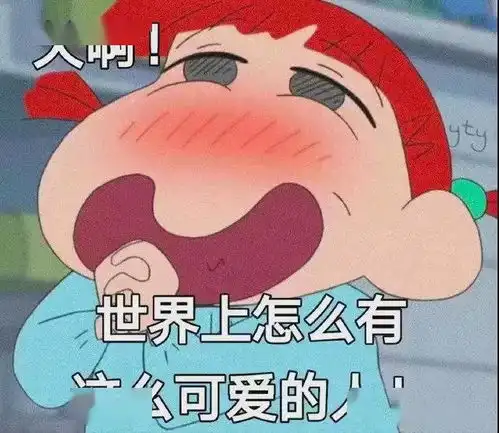 表情包吵不过你,但喜欢你

