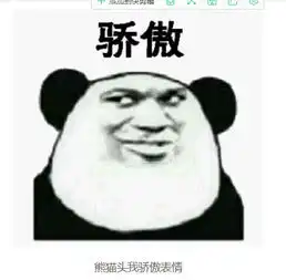 熊猫头我骄傲表情包大集合聊天必备
