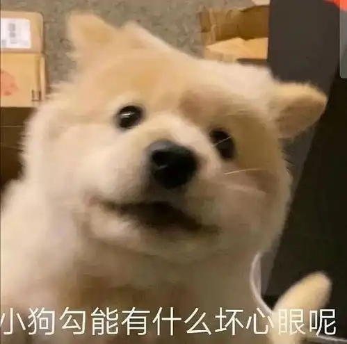 马上就要过年啦这是一栋组员互夸贴贴楼
