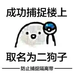 二狗子啥意思
