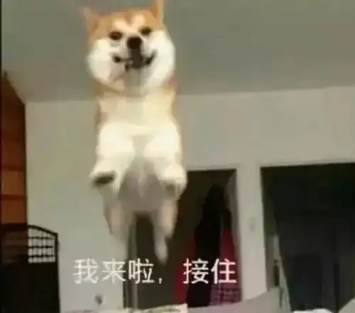一年一度剁手节即将拉开序幕
