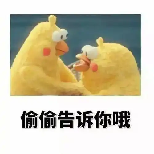 惊呆了1小时179吨,问鼎top1爆品撑起半边天
