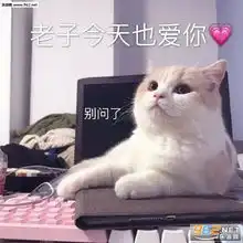 你知道你和星星有什么区别吗套路图片战事繁忙告辞表情包下载乐游网游戏下载
