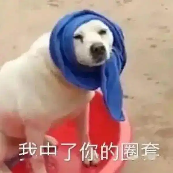 做测评这么久,这种情况我还是第一次见...
