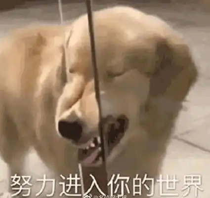 这个贫困县,用400亿建了一地烂尾楼
