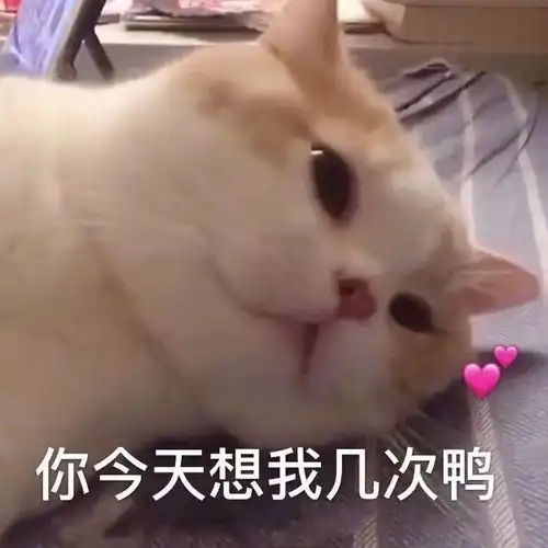 撩人专用表情包,我只能帮你到这了
