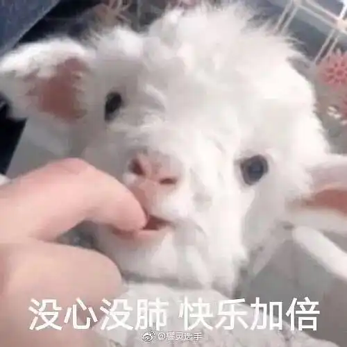 都让让36婚车来了
