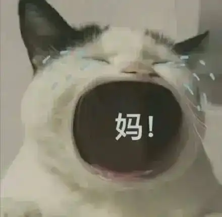 轻松一刻现在网速很快,有笑话全国人民一起看
