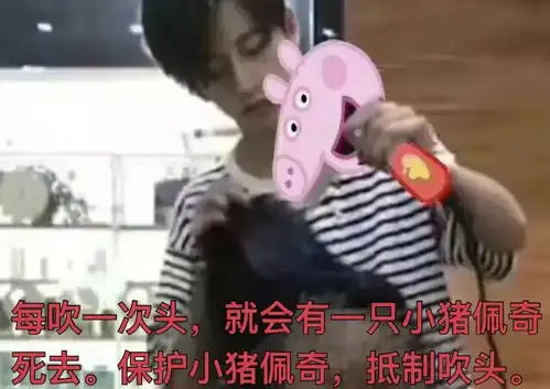任我聪明伶俐,也没看透你们野套路里的阴谋诡计
