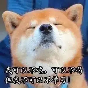 带你了解有趣柴知识
