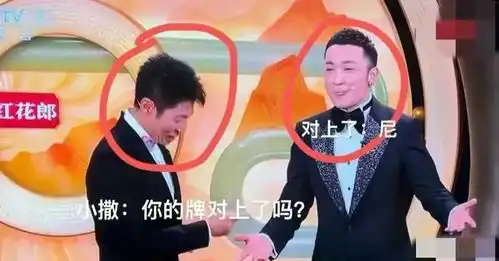 笑不活了小尼创央视春晚大翻车名场面,同行奚落
