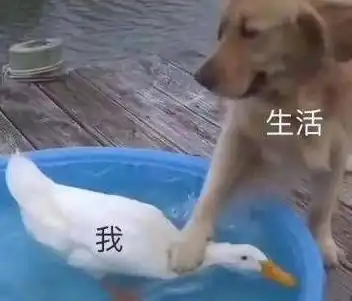 小编值班急,在线等
