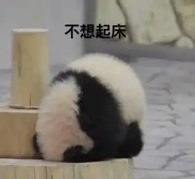 慵懒的表情包今天不想上班
