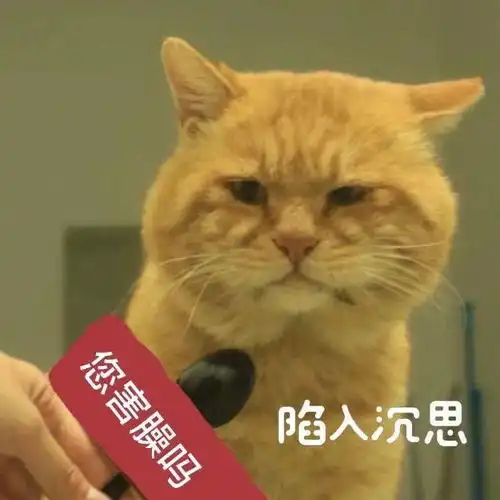 宿霸橘座保研财大公寓,是我喵生的坚持文末表情包暴击
