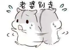 抖音小仓鼠高清无水印表情包合集超萌
