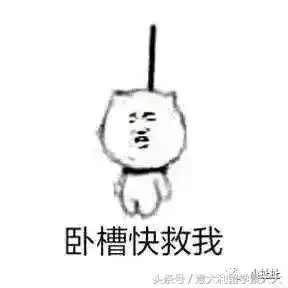 你选的课程和中介,靠谱吗

