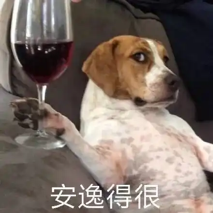 不吃菜也不吃肉,天天靠豆皮蟹棒维持生命是什么鬼
