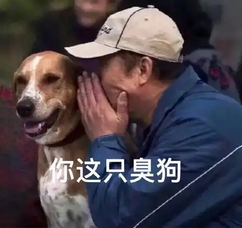 狗界很臭的几种狗,如果你全部养过,那就太让人心疼了
