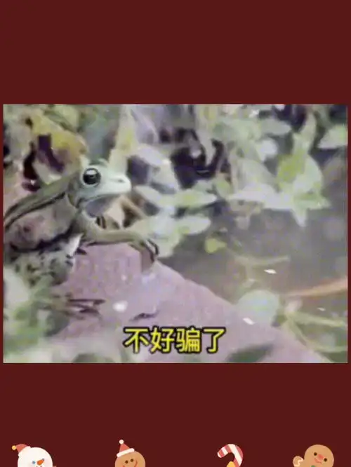 表情包表情包看点小助理没有文案,你还会爱我吗
