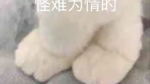 你好啊,小子
