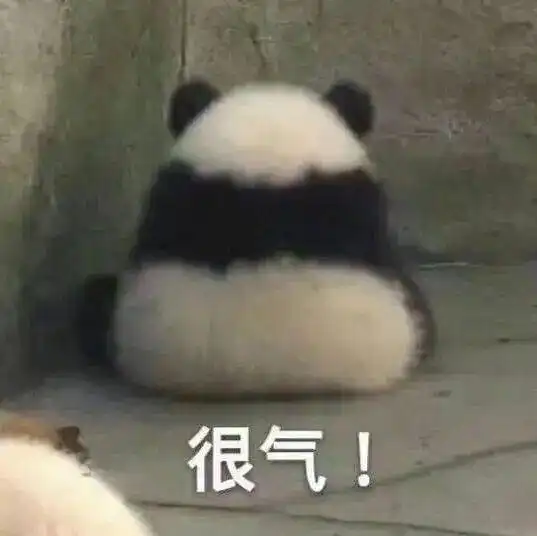 晚上好表情包熊猫梦里