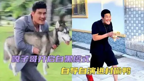 嘎子哥掌握流量密码,进村偷狗之后再偷鸭,自嘲无下限
