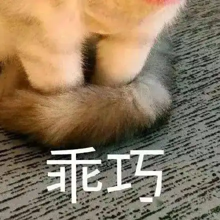 紫微丨这颗星星很聪明但有一项要格外注意