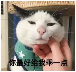 公猫绝育后,面对母猫完全没反应,这冷漠的表情,已是废猫了

