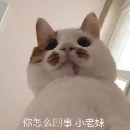 今日表情推荐,125
