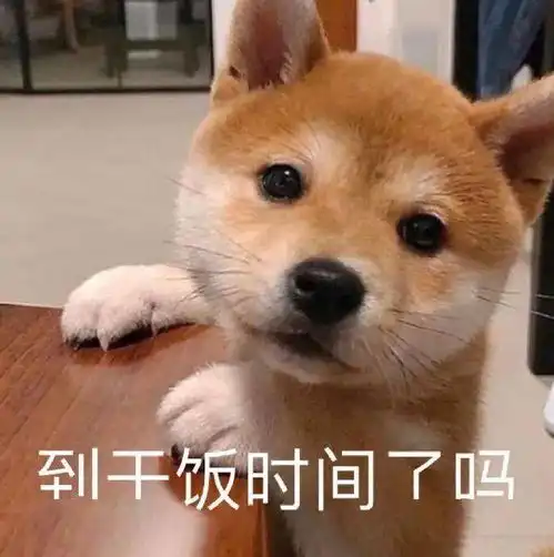 有钱人的电动车要穿aj好家伙,是我不配
