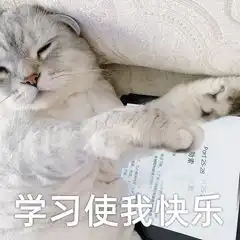 大佬们有没有爱学习的表情包贡献一波
