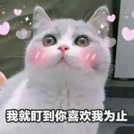 热门表白表情包
