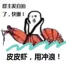 爆红的皮皮虾,我们走到底是什么鬼

