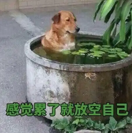 年会表演什么节目胸口碎大石