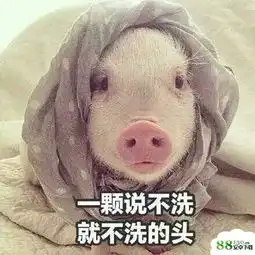 中国人假日越来越多了是什么梗
