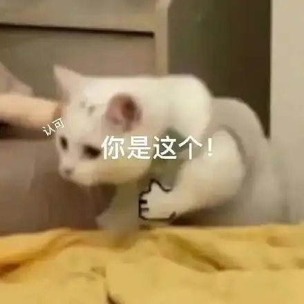 不吐不快滕哈赫我看看是谁还在喊让我下课