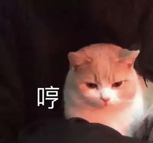 这哪是p图这分明就是换头终于见识到了传说中的照骗哈哈哈
