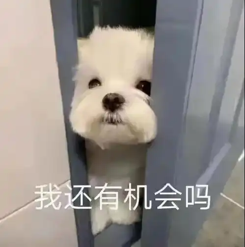 表情包这个月又要吃土了,想钱
