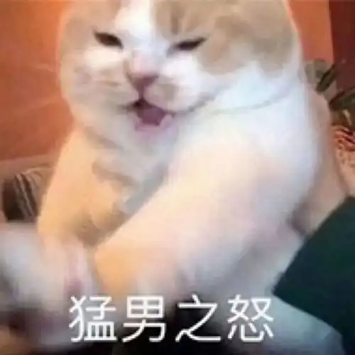 表情包
