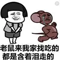 今年流行表情包微信头像图片大全
