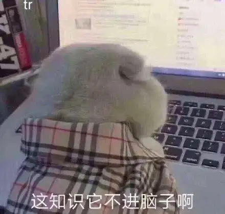 学霸经验分享,提高记忆力的7个方法
