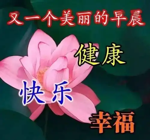 中老年表情包,知足感恩,平安如意每一天

