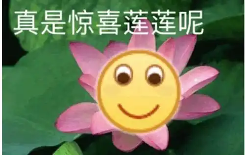 被父母哥哥妹妹当作摇钱树,她们的家人是魔鬼吗
